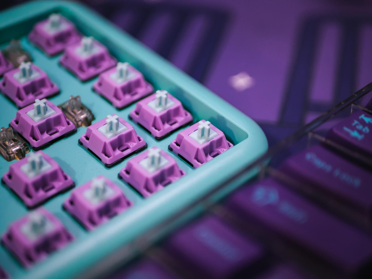 Gateron Blue Bubblegum Linears